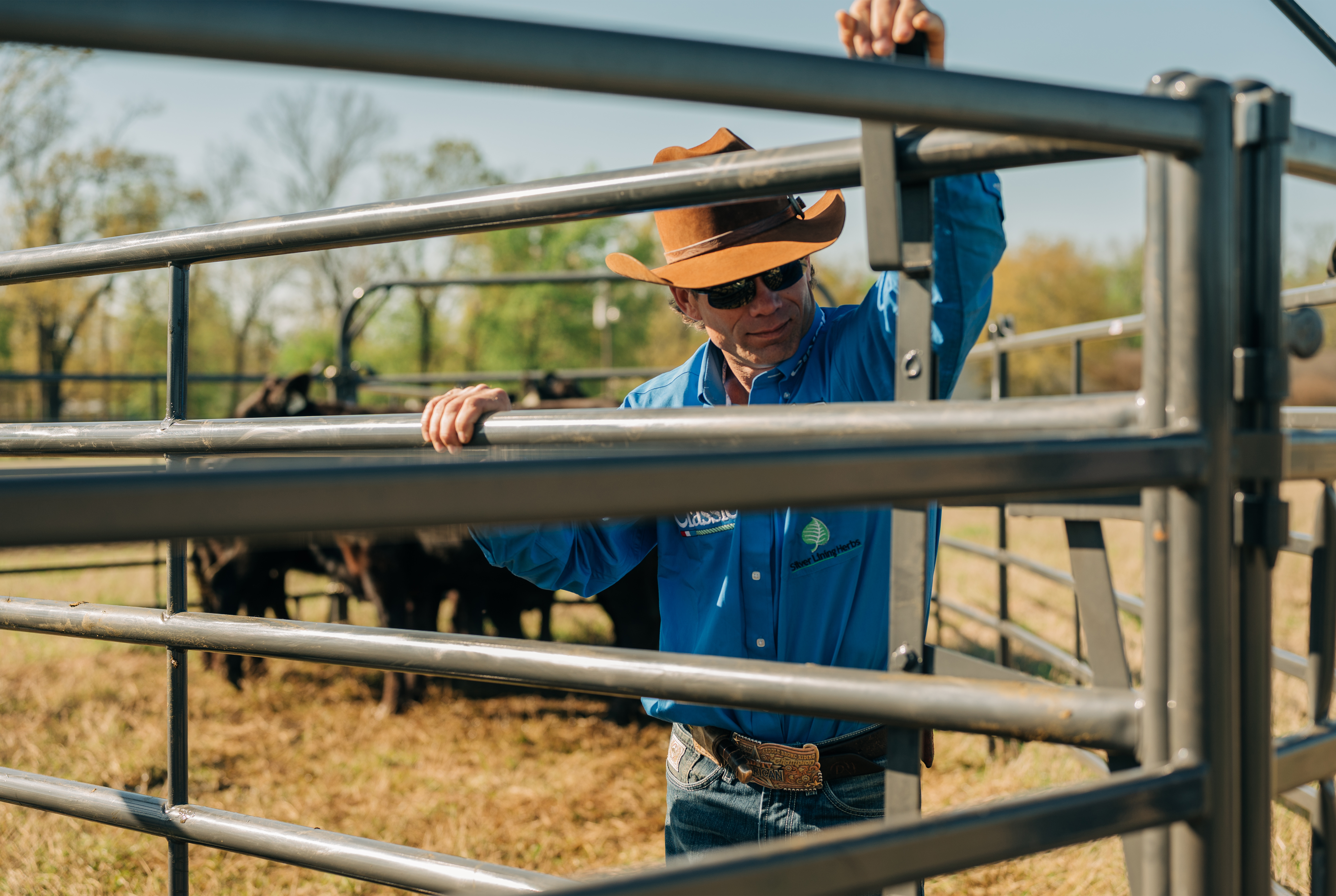 Easy on the Cow. Easy on the Cowboy.